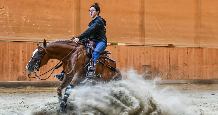 Reiterin auf ihrem Pferd bei einer Pferdeshow